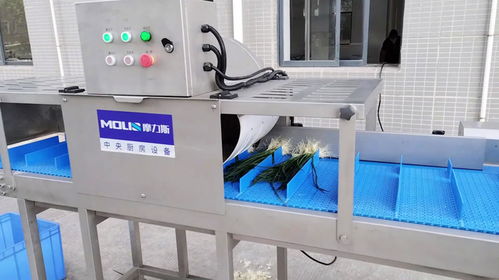 預(yù)制菜加工廠蔬菜去根機(jī),香蔥芹菜白菜切根機(jī)