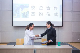 真實本位,創(chuàng)意傳播 我校文化傳媒學(xué)院畢業(yè)設(shè)計側(cè)記